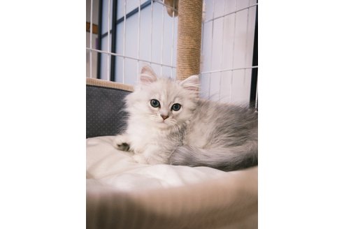 写真3886_3